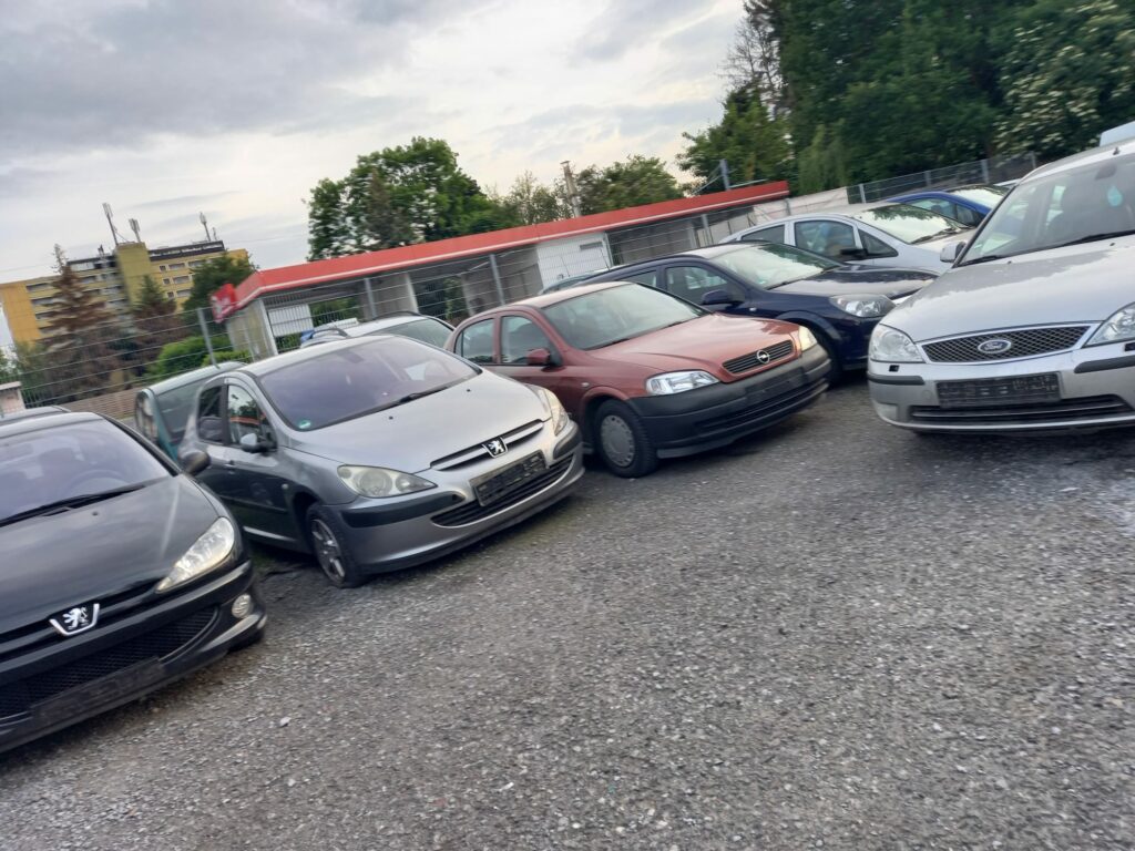 WhatsApp Image 2023-12-28 at 14.46.26